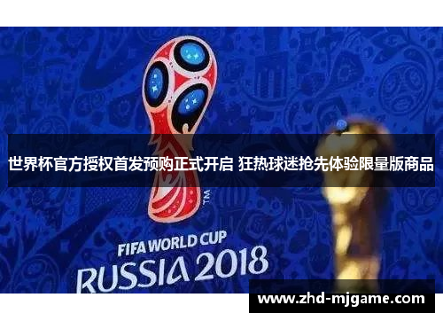 世界杯官方授权首发预购正式开启 狂热球迷抢先体验限量版商品