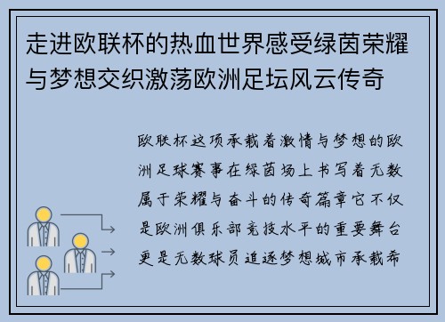 走进欧联杯的热血世界感受绿茵荣耀与梦想交织激荡欧洲足坛风云传奇